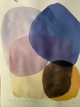 Load image into Gallery viewer, Iris, Sumac, Klickitat sulfur, Cabbage
