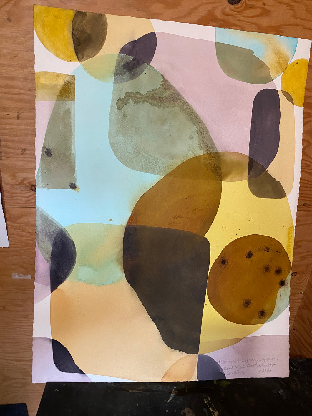 Marigold Series #4